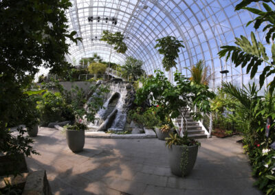 Myriad Botanical Gardens, Crystal Bridge Renovation